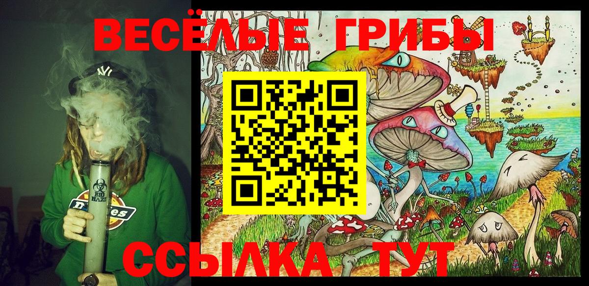 хочу наркоту  Вход с VPN  Краснотурьинск  Псилоцибиновые грибы прущие грибы 