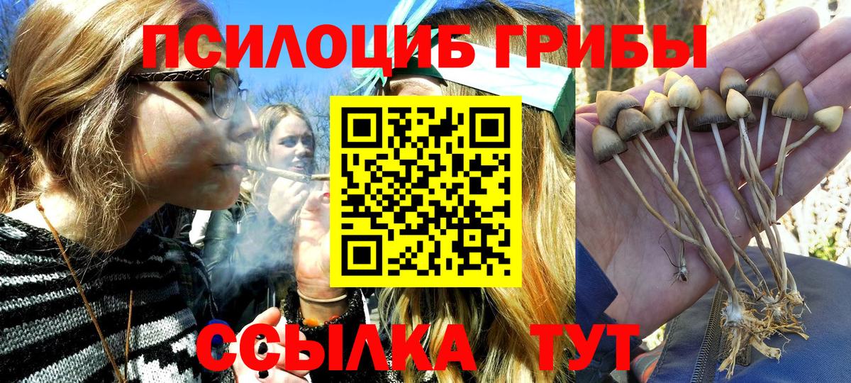 Галлюциногенные грибы GOLDEN TEACHER Краснотурьинск